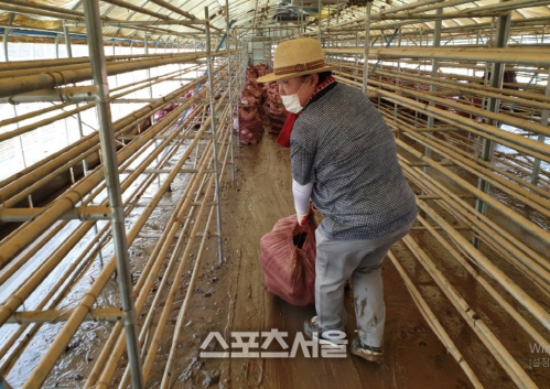 문정복 의원 수해복구 현장 모습