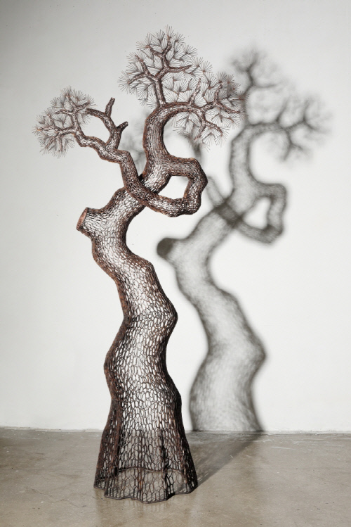 천년을 사는 소나무의 멋에 풍덩. 이길래 작가 'Timeless Pine Tree: 천년'전