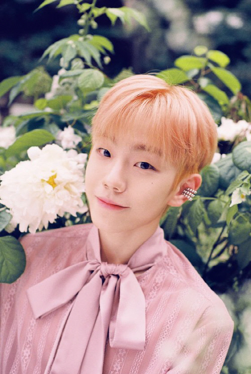 보이그룹 엘라스트 원준, '보니하니' 18대 보니 발탁…新 초통령 예고