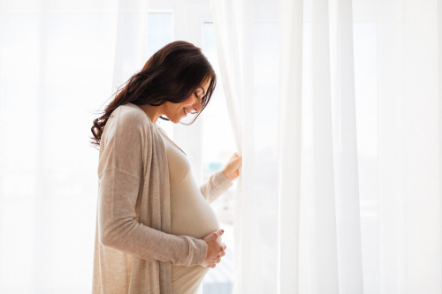 [해비치] 태교 패키지 참고 이미지