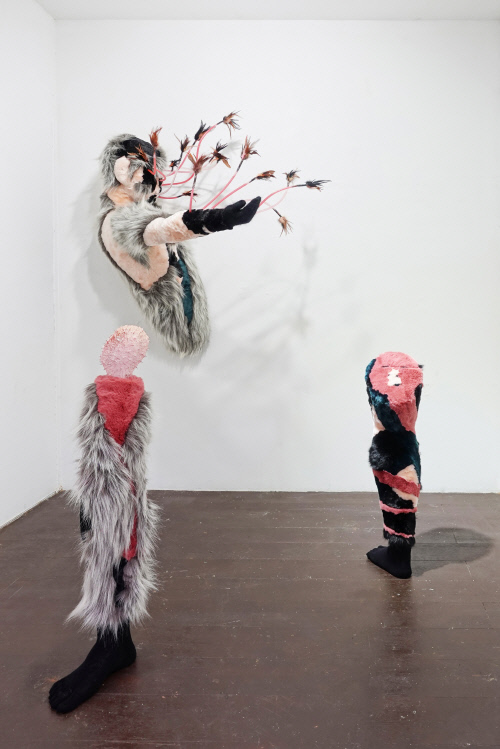 강건 작가 '아메바'전 "타자에 비친 나에 관한 질문"