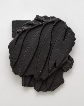 이강원 작가의 우연한 잎사귀들