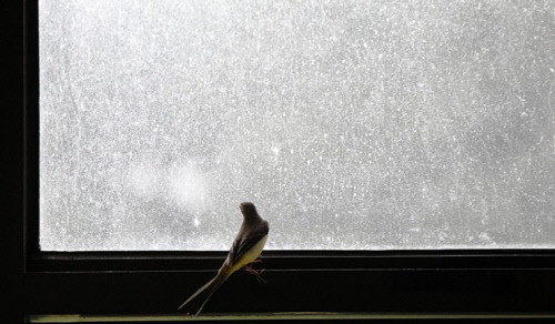 김수 작가 개인전 'Still Life, Still in Life'전 "쓸쓸한 것들에 대한 시선"