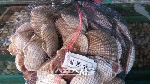 경기도, 일본산 수산물 원산지표시 집중 수사