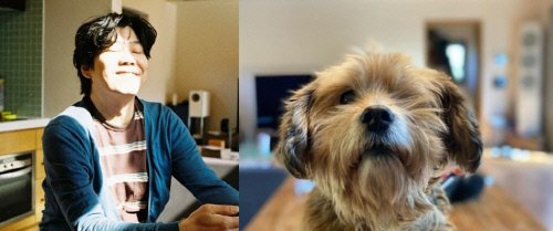 '이효리♥' 이상순, 반려견 순심이 근황 전해…더 귀여워진 "뚠띰이"[★SNS]