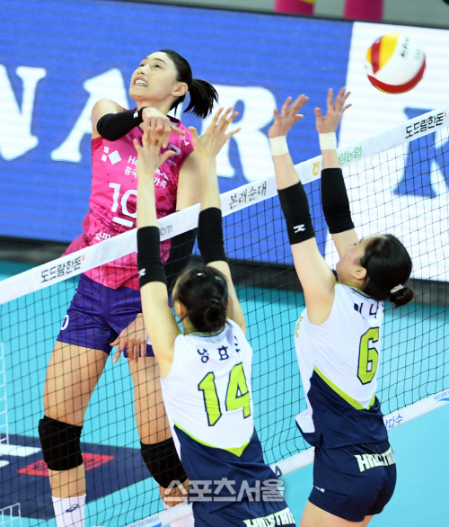 V리그 25일부터 남녀부 무관중 전환