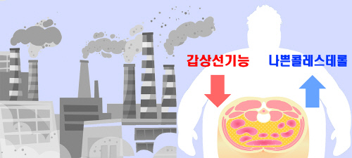 대기오염 비만