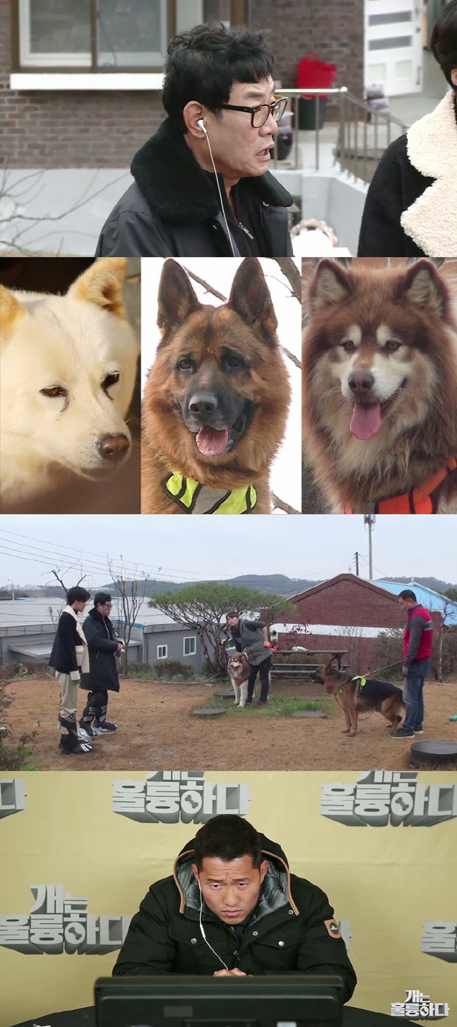 201206 KBS 2TV 개는 훌륭하다 도합 100kg대형견vs강형욱