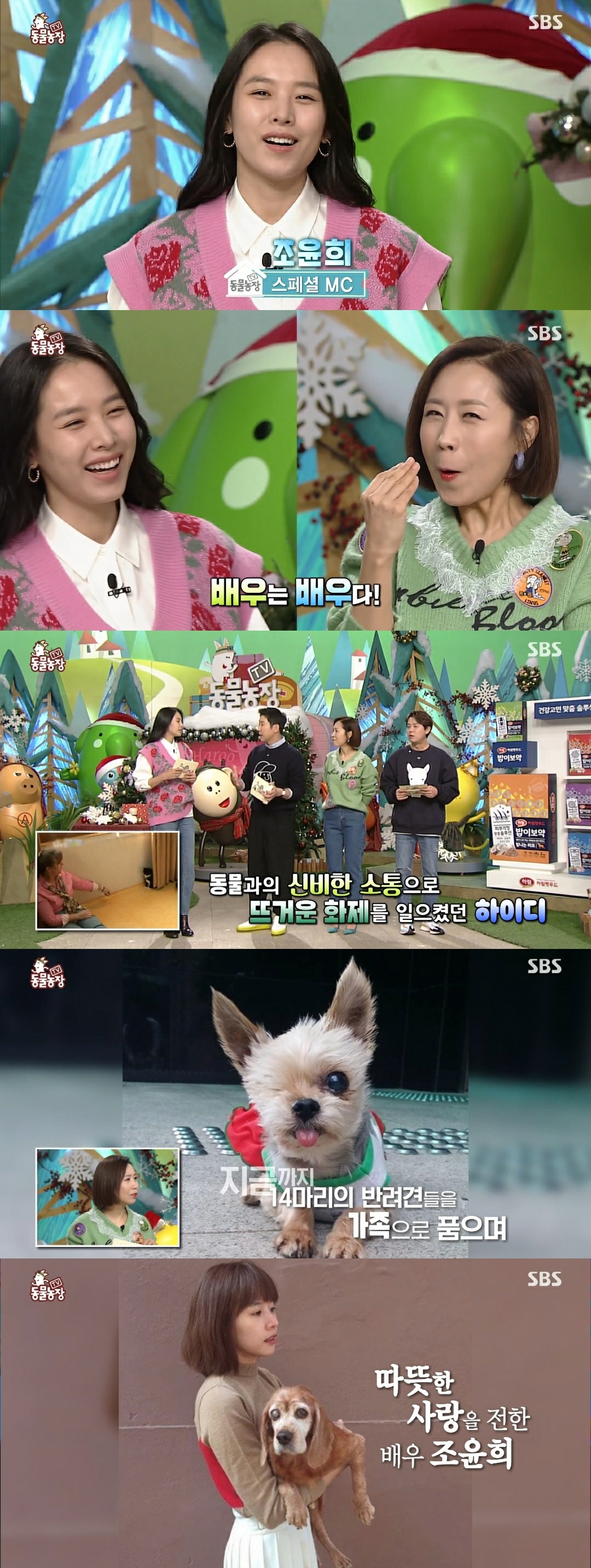 '동물농장' 조윤희, 이혼 7개월 만에 복귀 "너무 뵙고 싶었다"