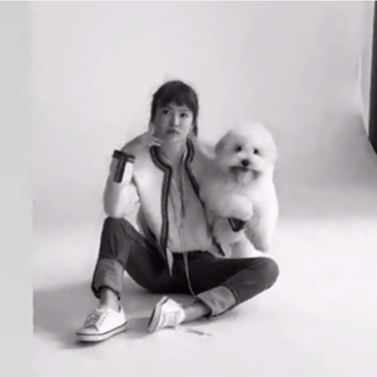 송혜교, 반려견과 흑백 영상 뚫은 러블리 '동안 여신'[★SNS]