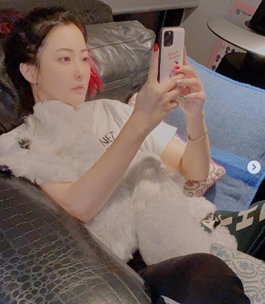 김희선, 반려견들과 행복한 일상 '명불허전 청순함'[★SNS]