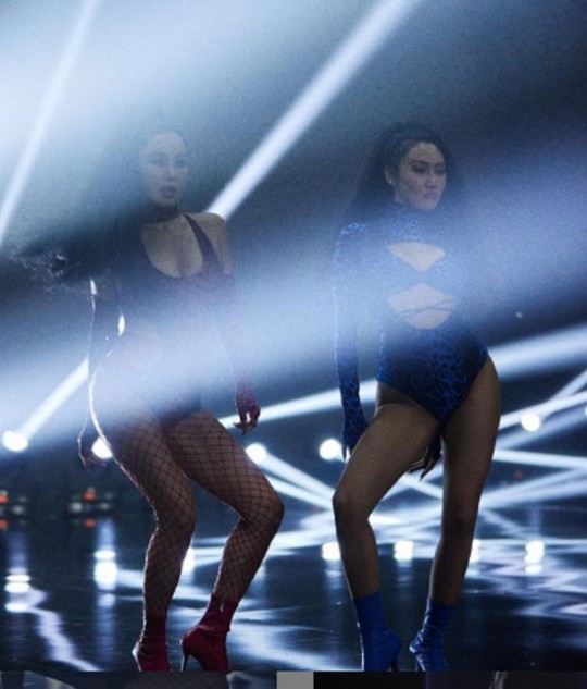 엄정화, 화사와  '호피무늬' 자매로 무대위 섹시카리스마 발산[★SNS]