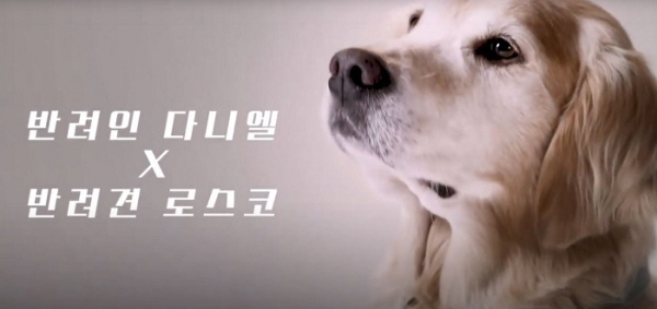 다니엘 헤니, “2021년, 반려인 당신은 더 행복해져야 해요”