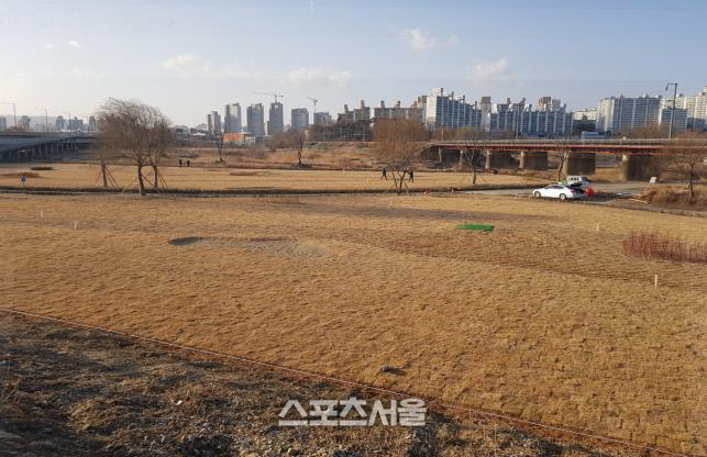 광주광역시 서구, 영산강 인근 파크골프장 조성 완료