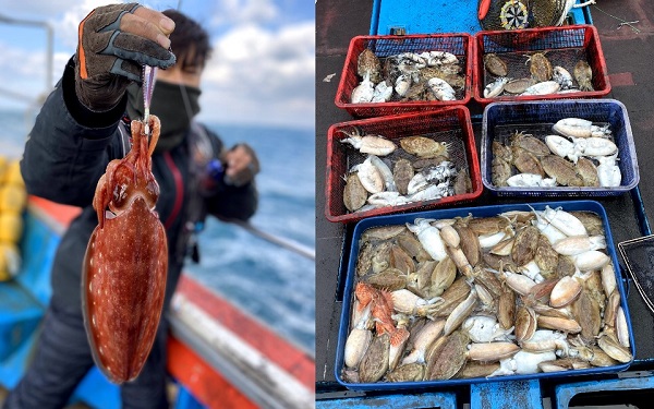제주도 신창 앞바다, 갑오징어 낚시에 마리 수 호 조황