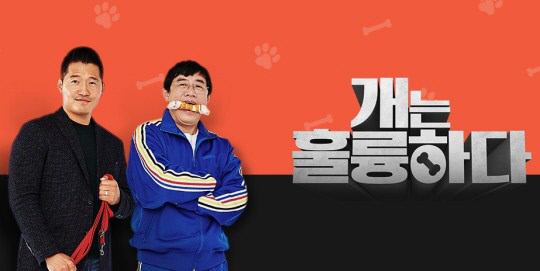 '개훌륭' 14일 녹화 취소 "외주제작사 출연료 미지급 문제…방송 차질 無"[공식]