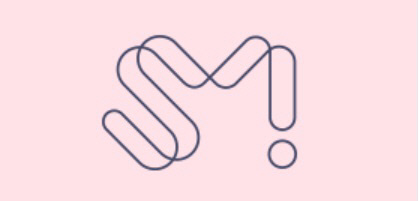 SM엔터, 200억 국세청 추징금 공시 "납부 후 불복절차 진행 예정"