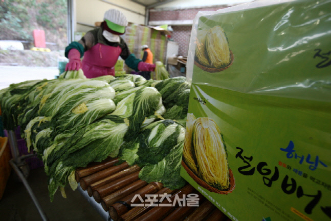 해남군, 전남서 최대 1억 이상 고소득농가 차지