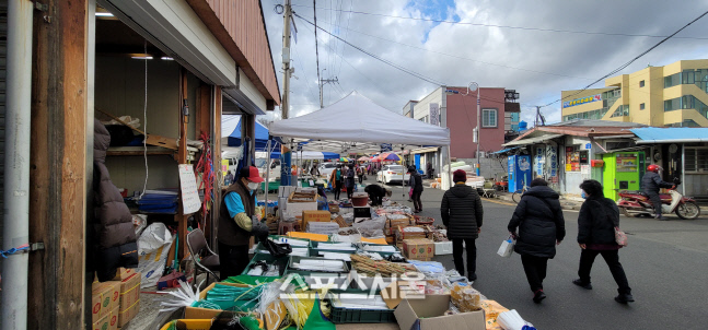 영암군 사진