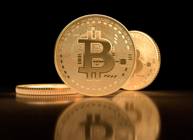 비트코인 시총 1조 달러 시대…머스크 "가격 높은 것 같다"