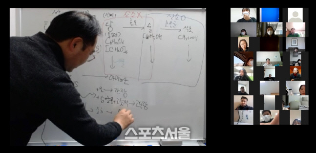 무안군 사진