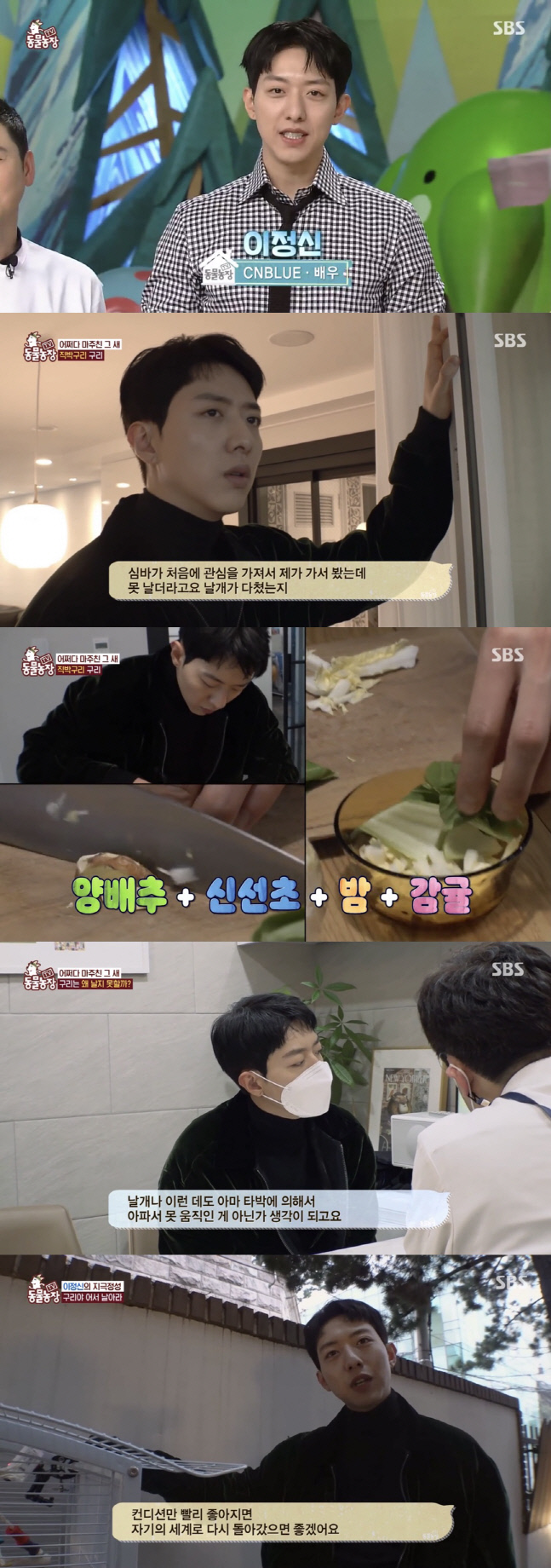 '동물농장' 씨엔블루 이정신, 직박구리 구조 일화 공개…특별MC 활약