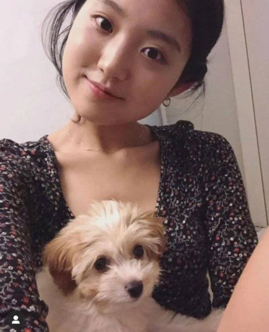 '보건교사 안은영' 송희준, 반려견 파양 해명 "아버지 건강 악화로…"[전문]