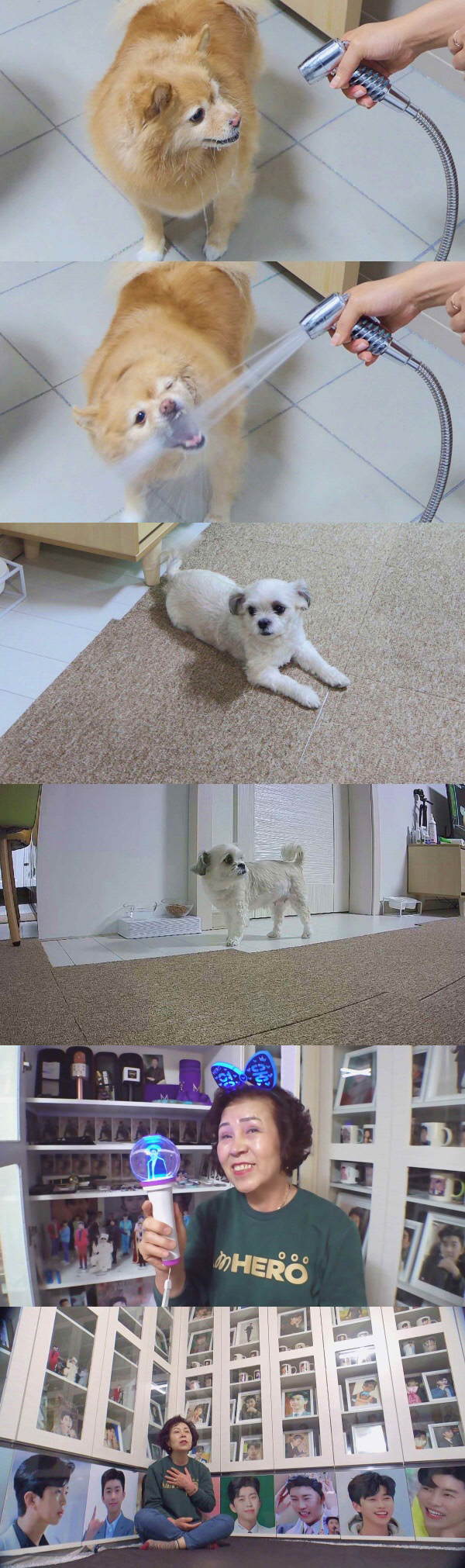 순간포착_프리뷰 종합