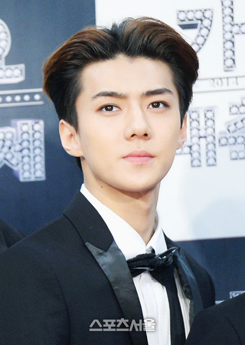 엑소 세훈, '지금 헤어지는~' 출연 확정…송혜교와 호흡[공식]