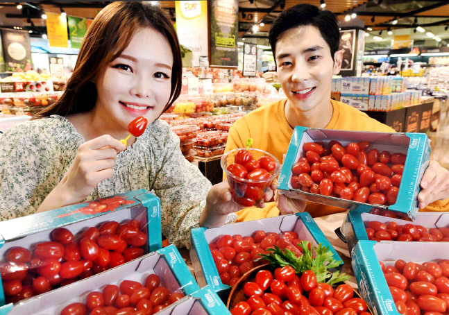 홈플러스_꼭지 없이 즐기는 아삭한 스낵토마토 (1)
