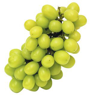 샤인머스캣 인기에 사과·배 가격 급등한 까닭