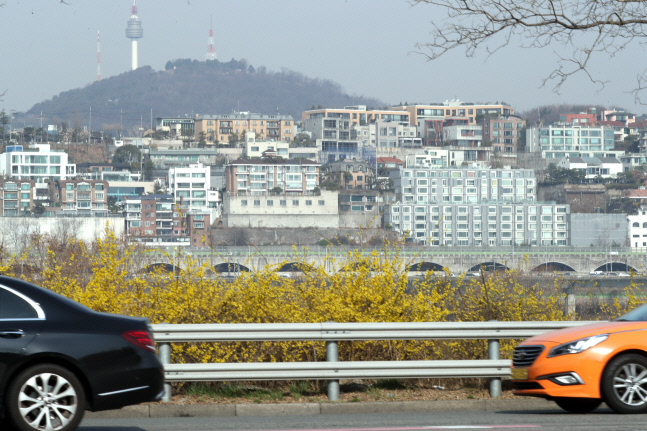 한강 개나리와 강북 도심
