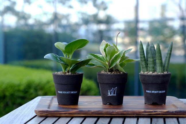 파크 하얏트 부산 파티세리, 지구의 날 기념 특별 이벤트 실시