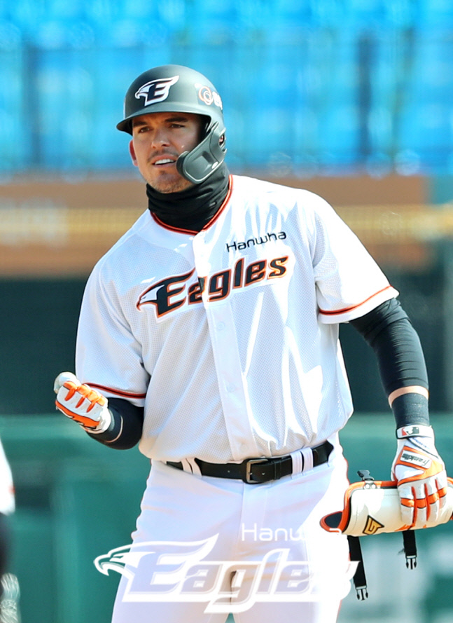 한화 라이온 힐리