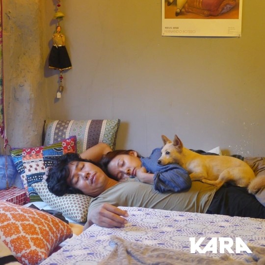 이효리, 이상순 품에 안겨 반려동물과 따뜻한 일상 ...'허그캠페인' 챌린지 