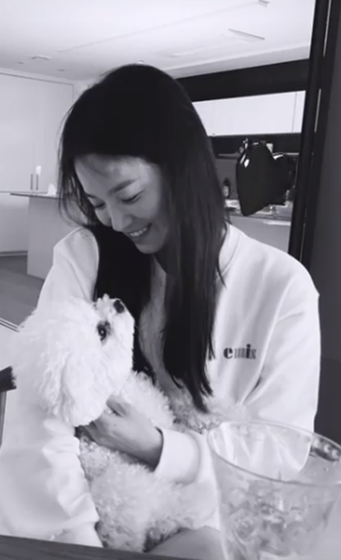 "나이는 어디로?" 송혜교, 수수한 일상도 화보 [★SNS]