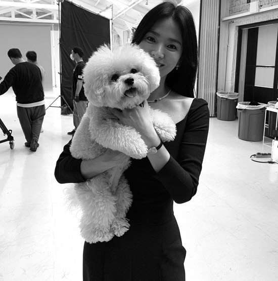 송혜교, 흑백 필터 뚫고나오는 여신 美모 [★SNS]