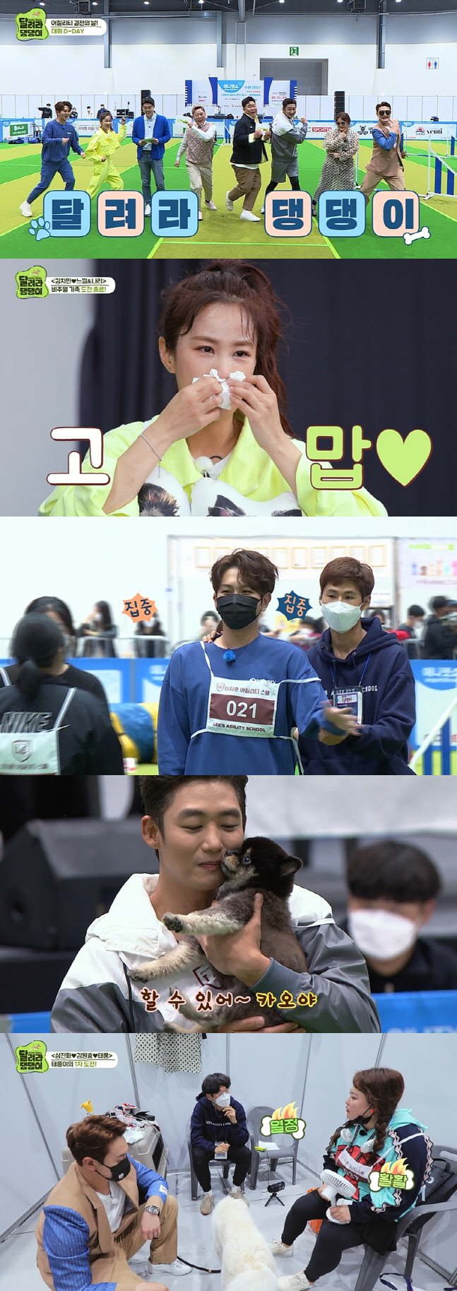 '달려라 댕댕이' 오늘(10일) 종영, 대회 결과 공개…김지민X심진화 오열