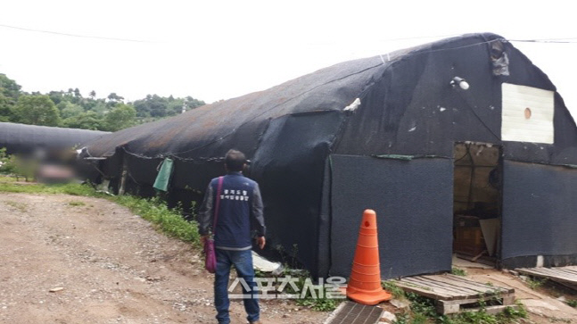 경기도, 개발제한구역 내 무허가 건축 등 불법행위 집중 수사