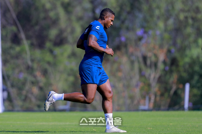 맨유 출신 발렌시아, 현역 은퇴 선언…데 헤아·퍼디난드 "잊지 못할 것"