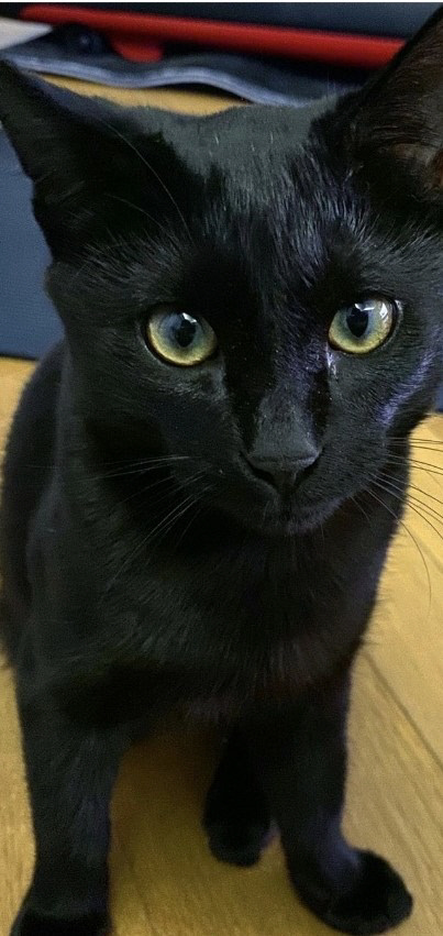 KakaoTalk_20210524_101817100