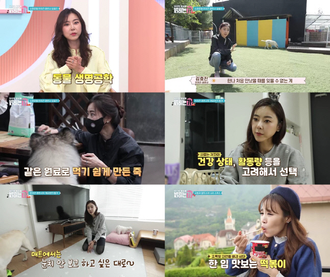 밝히는가 12주차 월요일