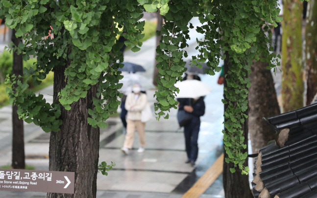 때 아닌 5월 기상악화…채소류 가격 들썩