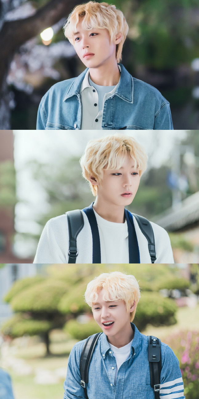 '멀리서 보면 푸른 봄' 박지훈, 눈부신 비주얼 女心저격