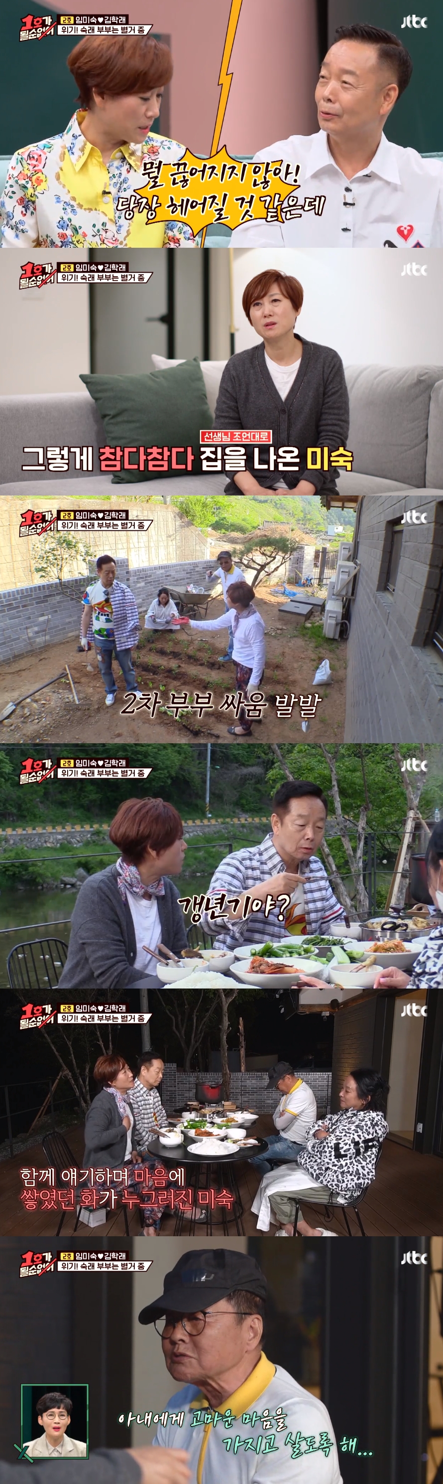  '1호가' 임미숙, 김학래와 별거 "수억 날렸는데 또 주식"→극적 화해