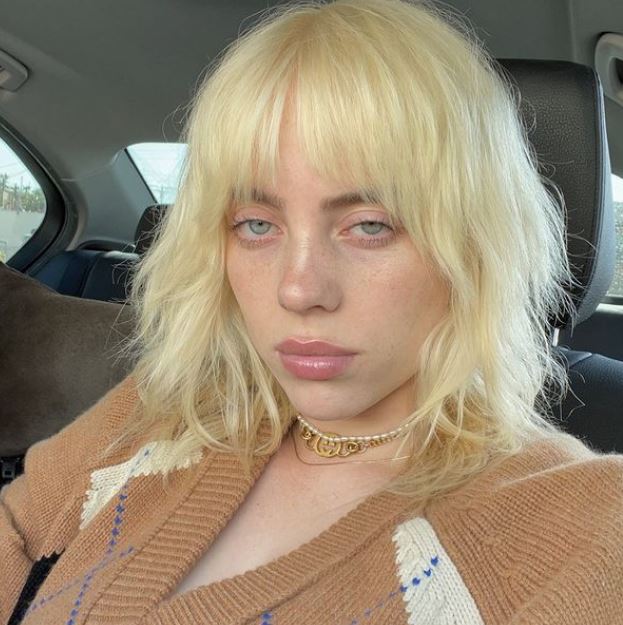 빌리 아일리시, 동양인 비하 논란 사과 "나 자신이 창피하다"