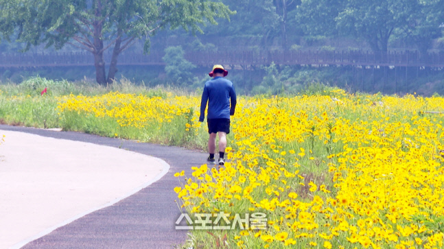 장흥군, 아름다운 탐진강 산책로 걸으며 건강과 힐링 모두 챙기세요!