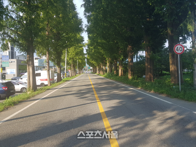 장흥군, 「장흥대교_군민회관」간 4차로 도로 확장 추진