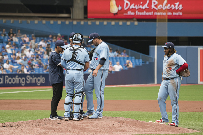 Red Sox Blue Jays Baseball