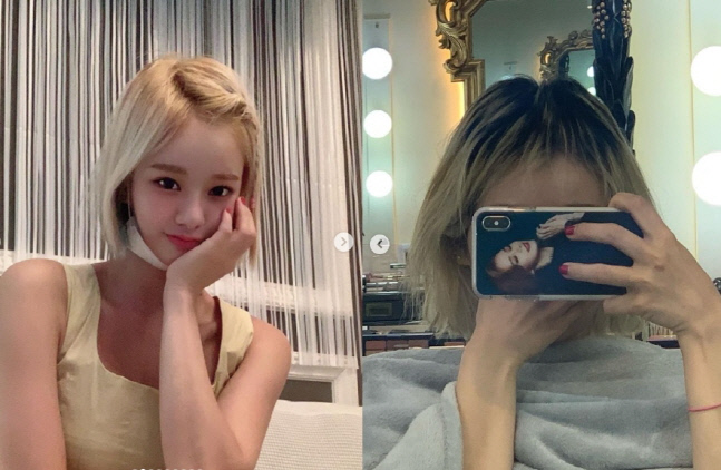 "너무 골룸 같아서…90세 할머니 된 기분" 맹승지, 미용실 피해 토로